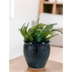 Obsidian Luxe Textured Ceramic Planter