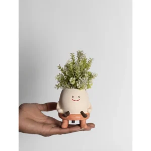 Happy Pod Mini Planter