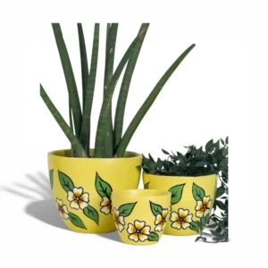 SunBloom Handpainted Planter Set