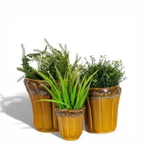 Honey Drip Ribbed Planter Set