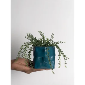 Modern Face Block Planter – Teal Edition