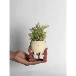 Happy Ride Character Planter