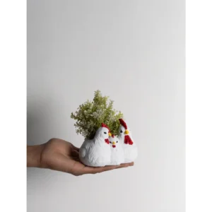 Farmhouse Hen Trio Planter