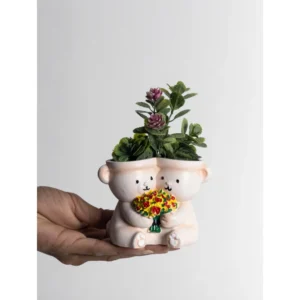 Twin Teddy Love Planter