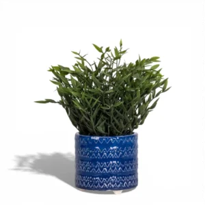 Azure Zigzag Textured Ceramic Planter
