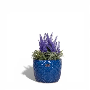 Royal Blue Embossed Ceramic Planter