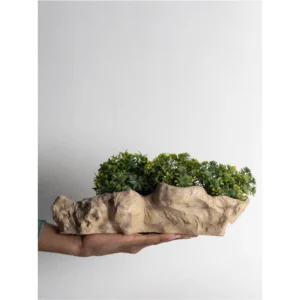 Natural Driftwood Sculptural Planter
