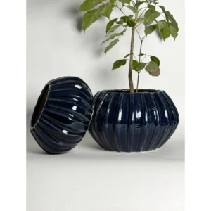 Midnight Ribbed Ceramic Planter