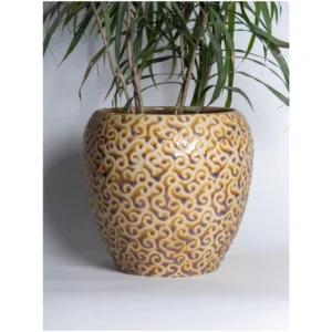Amber Scroll Textured Ceramic Planter