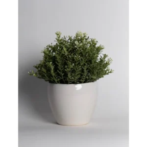 Ivory Minimal Ceramic Planter