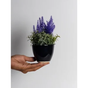 Midnight Mini Ceramic Planter