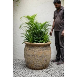 Desert Stone Bowl Planter
