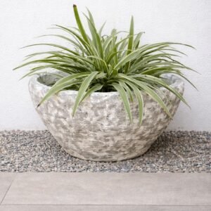 Stone Mist Rustic Textured Ceramic Bowl Planter