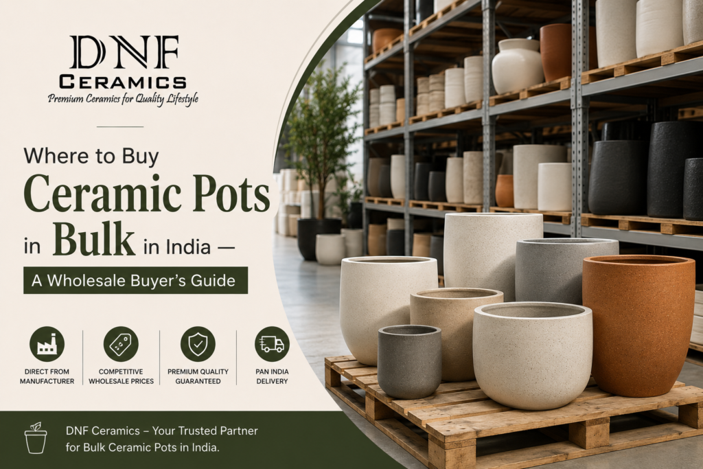 Where to Buy Ceramic Pots in Bulk in India — A Wholesale Buyer's Guide