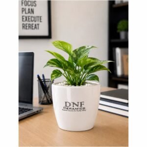 Classic Tapered Ceramic Desk Planter