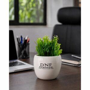 Premium Round Ceramic Desk Planter