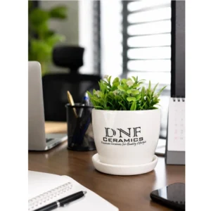 Classic Round Ceramic Desk Planter with Saucer