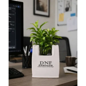 Modern U-Cut Ceramic Desk Planter
