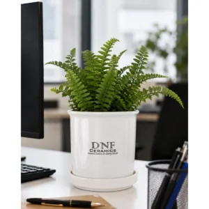 Classic Cylindrical Ceramic Planter with Matching Saucer