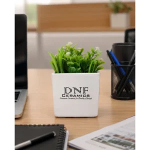 Modern Square Ceramic Desk Planter