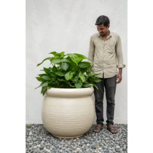Ivory Ribbed Belly Ceramic Planter