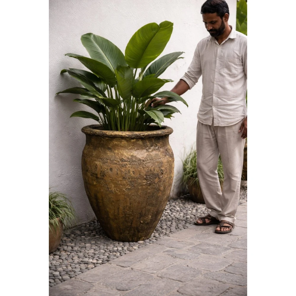 Rustic Imperial Ceramic Planter