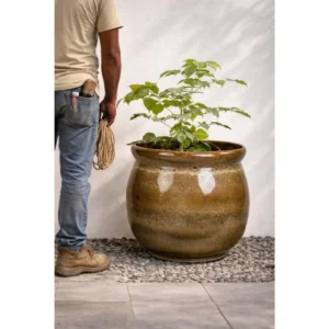 Olive Moss Globe Planter