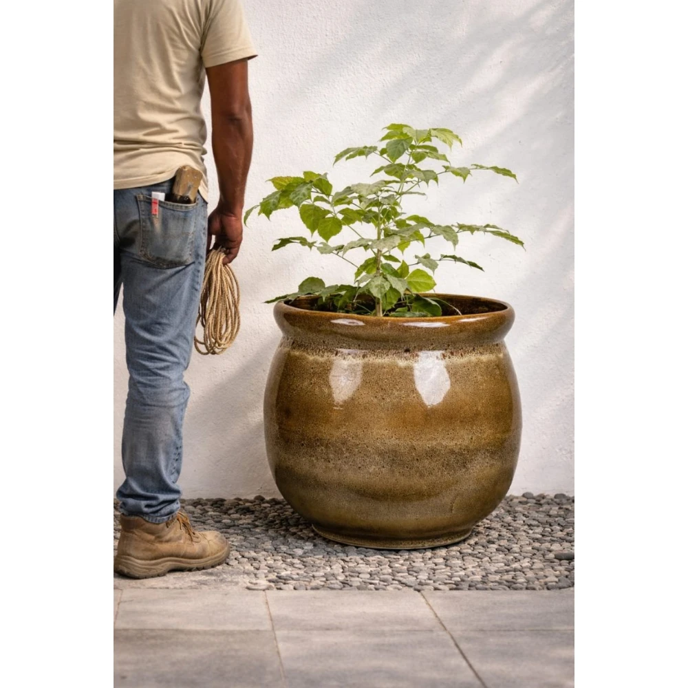 Olive Moss Globe Planter