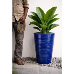 The Royal Cobalt Ribbed Planter is a premium decorative planter designed to bring bold color and contemporary elegance to any space. Its striking cobalt blue glazed finish is complemented by finely crafted horizontal ribbed detailing, creating a sophisticated look that blends seamlessly with modern, coastal, and luxury interiors. The tall tapered silhouette provides generous planting space for bird of paradise, palms, peace lilies, ficus, and other ornamental plants, making it an excellent choice for entrances, balconies, terraces, hotel lobbies, office reception areas, restaurants, cafés, and garden landscapes. The glossy glaze enhances the planter's visual appeal while offering a smooth, premium finish that stands out in any setting. Expertly handcrafted with attention to detail, the Royal Cobalt Ribbed Planter combines durability with timeless style. Whether used as a standalone statement piece or paired with matching planters, it creates a refined and luxurious atmosphere in both residential and commercial spaces.