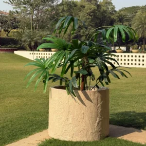 Sandstone Rustic Cylinder Planter