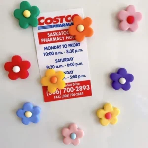 Colorful Daisy Ceramic Fridge Magnets – Handmade Flower Magnets