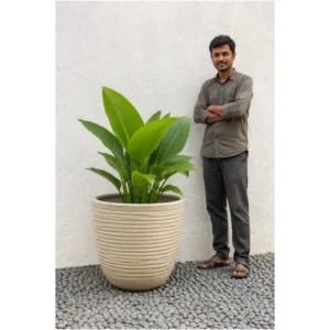 Ivory Ripple Ceramic Planter