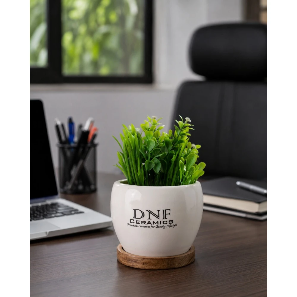 Premium Round Ceramic Desk Planter with Wooden Base