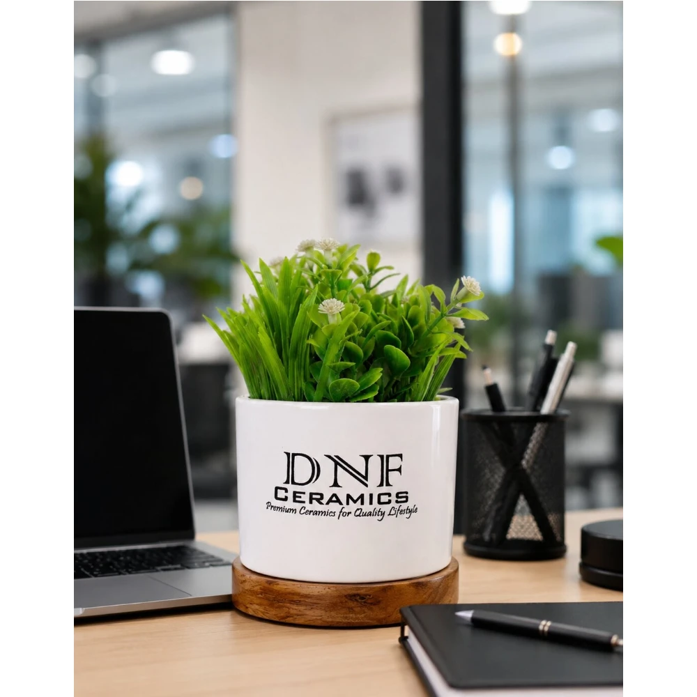 DNF Signature Ceramic Desk Planter with Wooden Base
