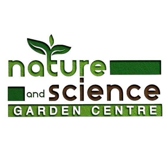 298918283_488541393276093_3960126460678064717_n-1.jpg