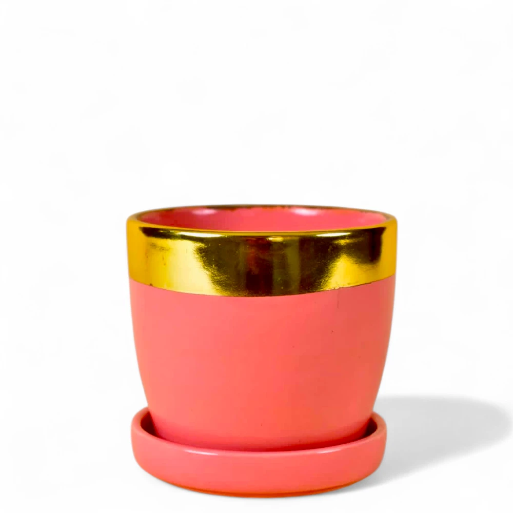 Blush Pink Gold-Rim Ceramic Planter