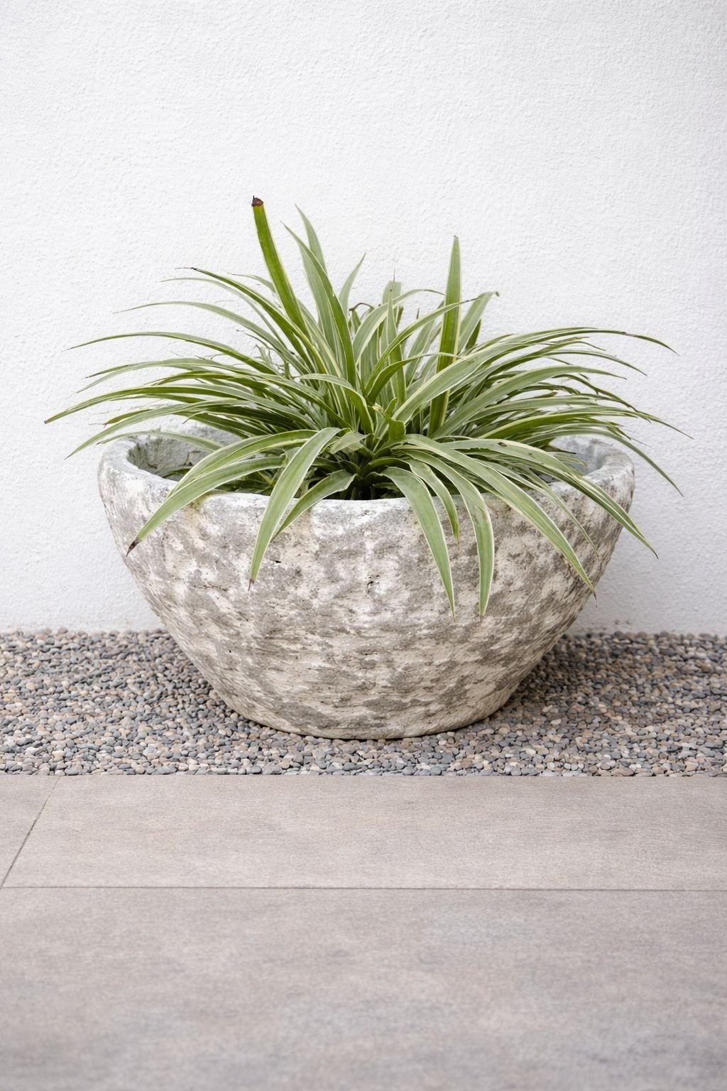 Stone Mist Rustic Textured Ceramic Bowl Planter