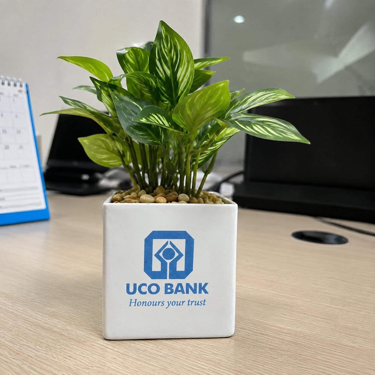 Custom Logo Ceramic Planter – UCO Bank Branded Corporate Gift Pot