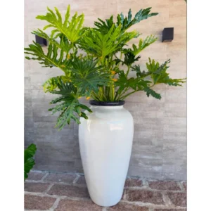 Premium Tall Planters