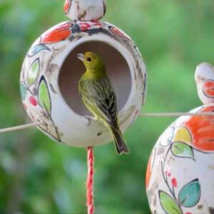 Ceramic Bird House