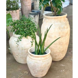FRP Planters (Fiberglass Planters)