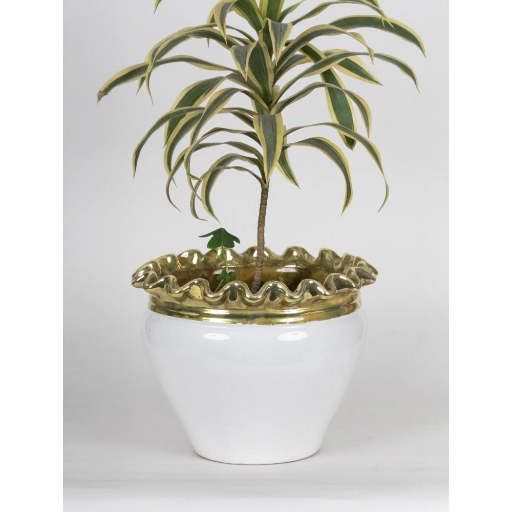 Imperial Ivory Gold-Rim Ceramic Planter