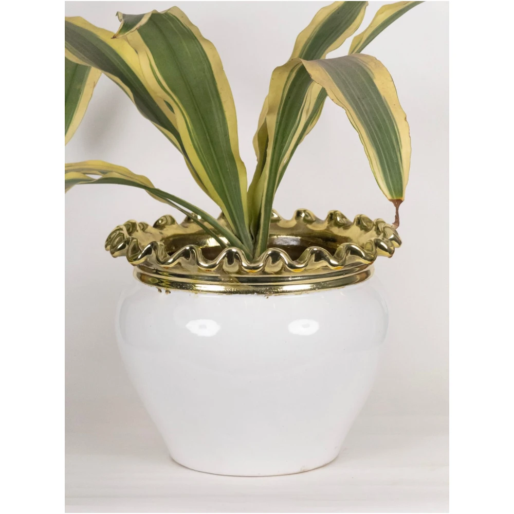 Opal Crown White & Gold Ceramic Planter