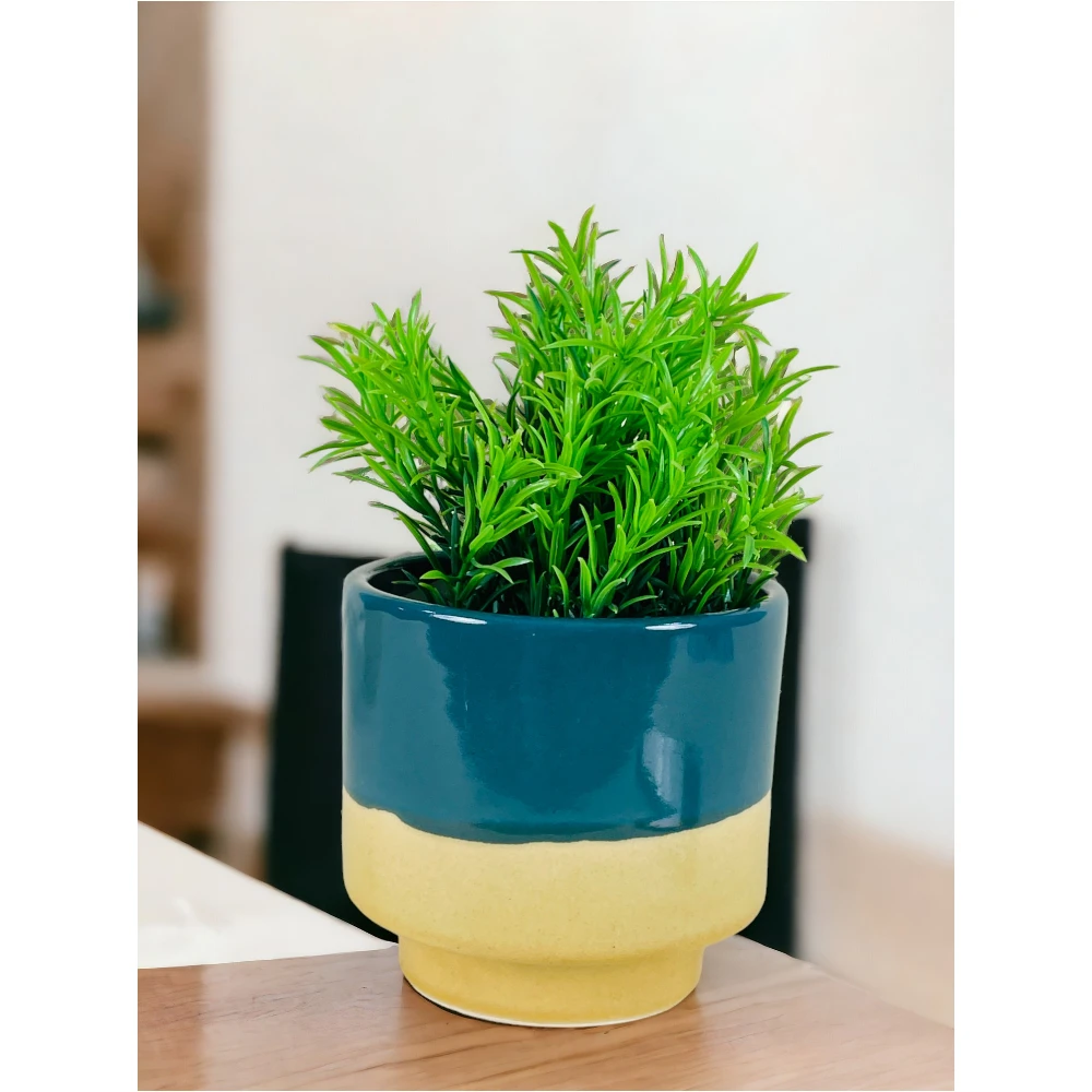 Dual Tone Teal & Mustard Ceramic Planter