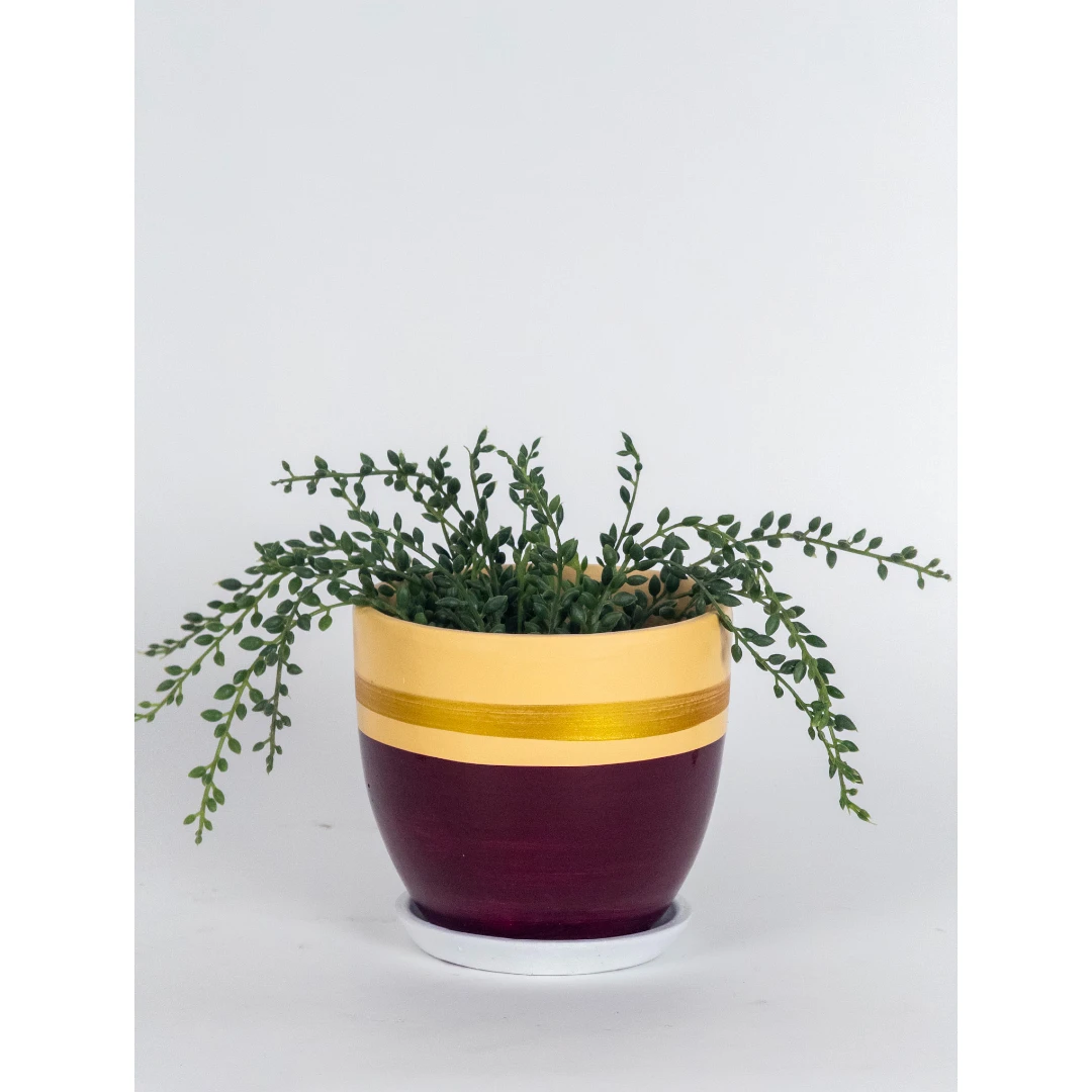 Royal Sunset Ceramic Planter with Saucer