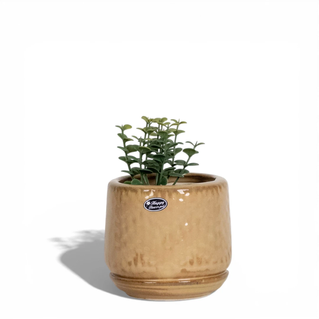 Sandstone Glaze Ceramic Planter