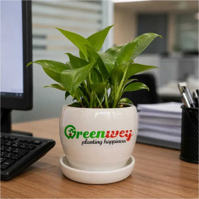 Custom Logo Ceramic Planter Pot with Tray – Corporate Gifting & Branding