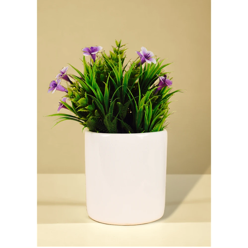 Minimal Shine Ceramic Planter