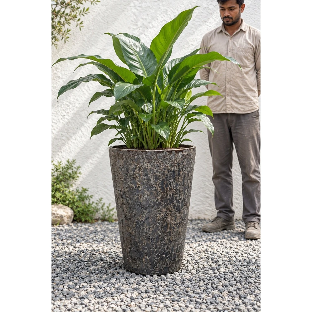 Antique Charcoal Textured Ceramic Planter – Rustic Stone Finish