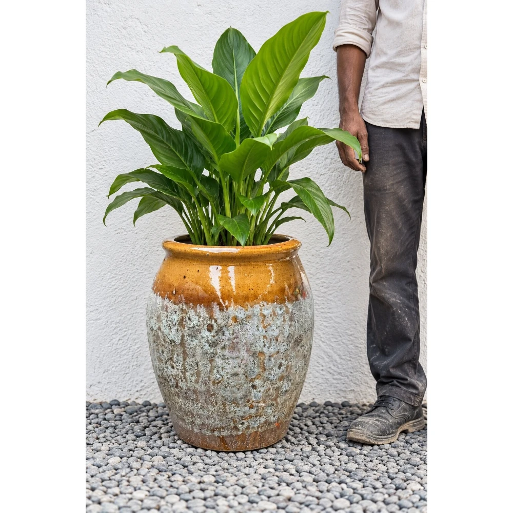 Antique Rustic Glazed Ceramic Planter – Amber & Weathered White Finish